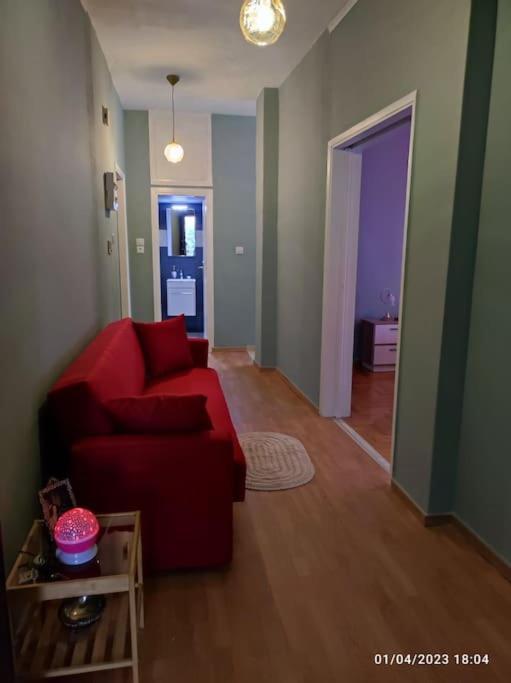 Cozy New Apartment Near The Beach Athen Eksteriør billede